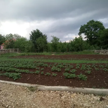 Ranch Wild North *